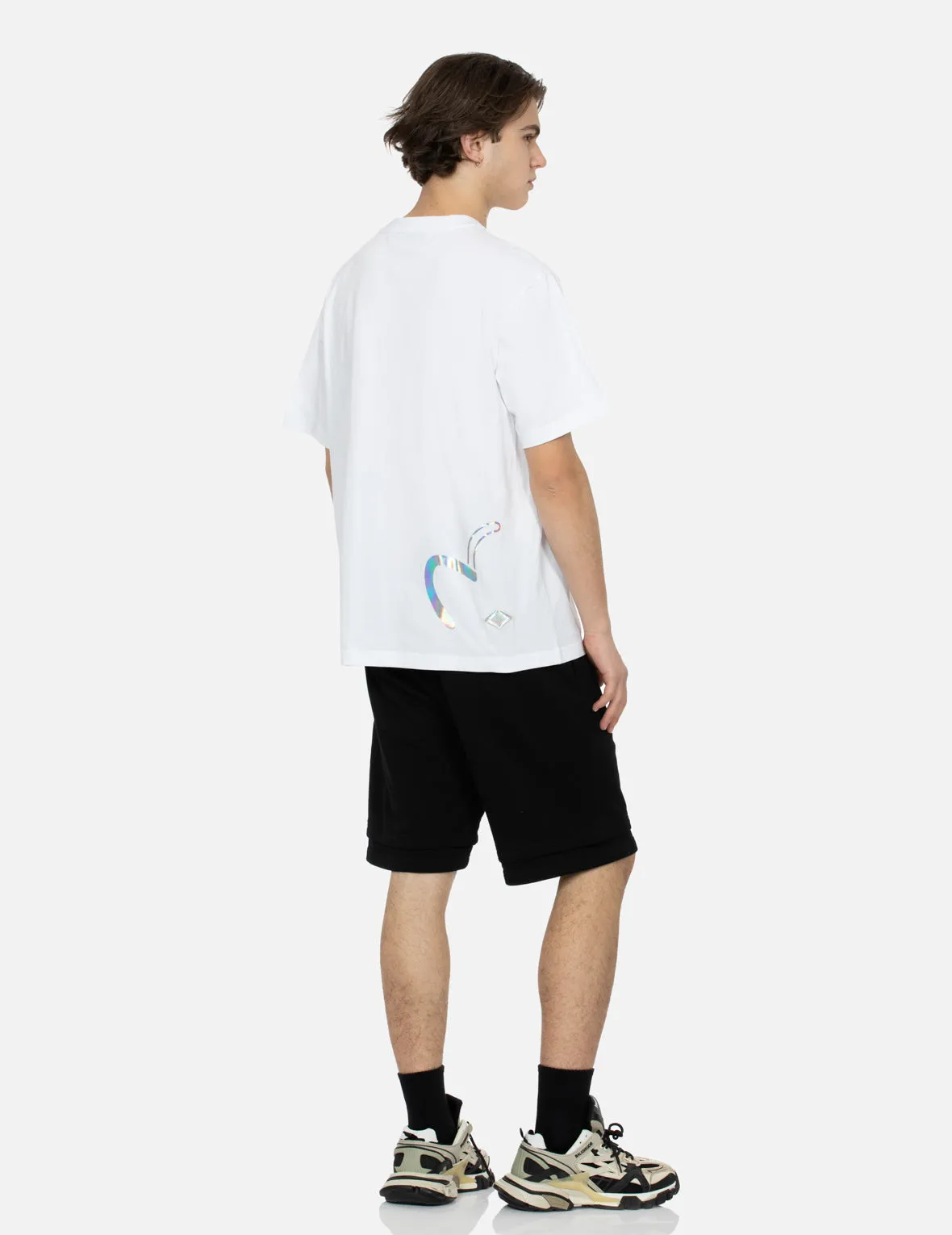 Kamon and Iridescent Seagull Print Regular Fit T-Shirt