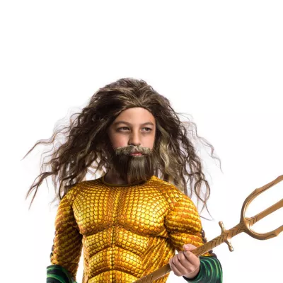 Toddler Boys DC Comics Aquaman Beard And Wig 2-pc. Costume Accessory